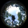 Thumbnail for version as of 03:17, 7 September 2006