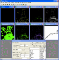 Thumbnail for version as of 22:07, 8 November 2006
