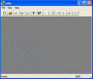 Seles1.gif